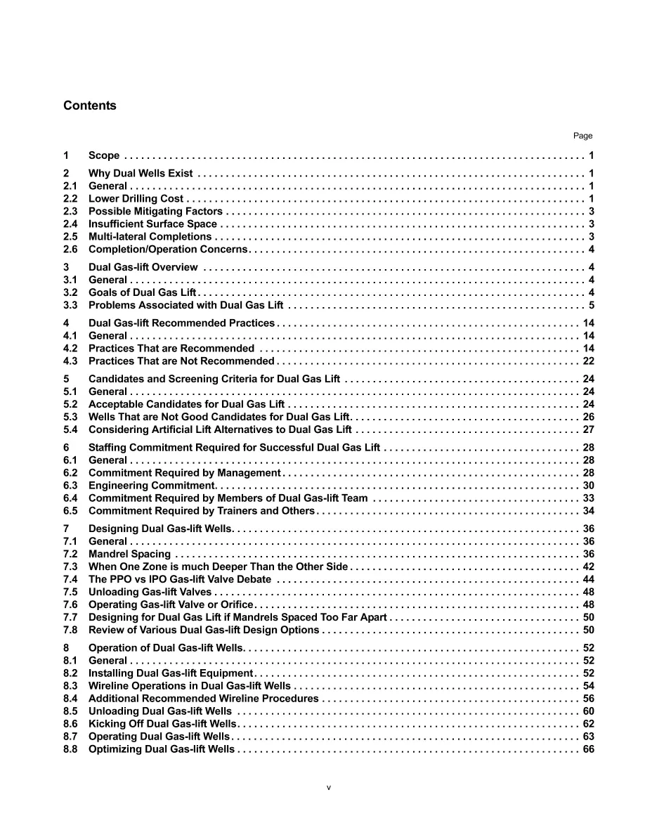 API RP 19G9 pdf