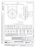 SAE AS20218A pdf
