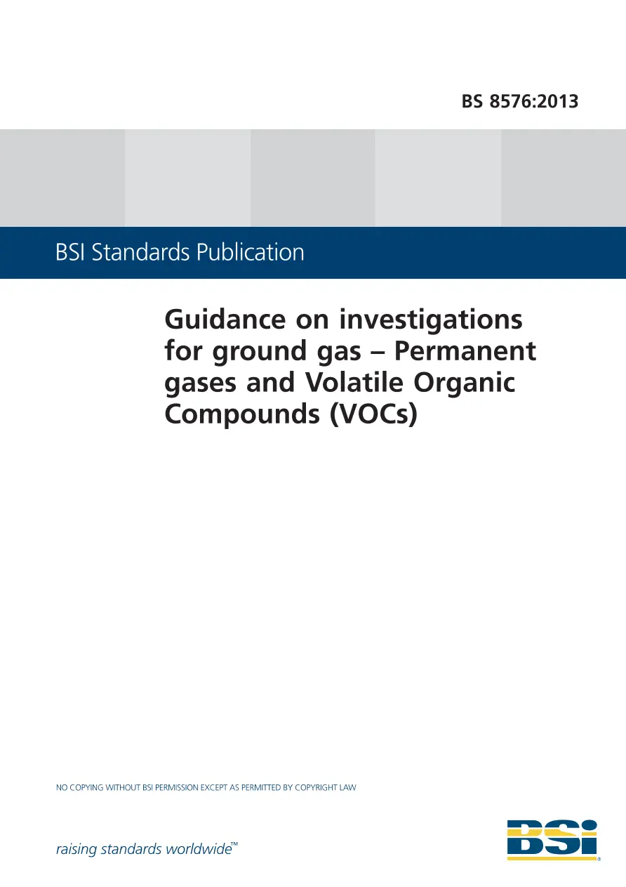 BS 8576:2013 BS 8576:2013 pdf