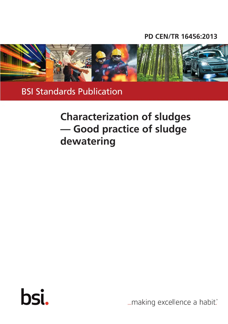 BS PD CEN/TR 16456:2013 BS PD CEN/TR 16456:2013 pdf