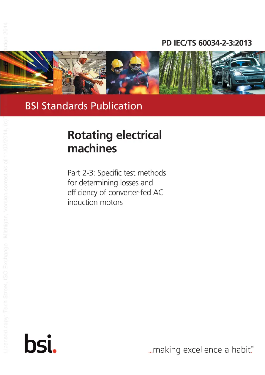 BS PD IEC/TS 60034-2-3:2013 pdf