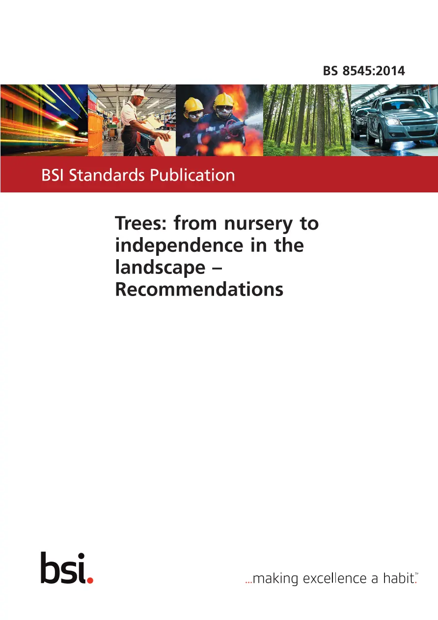 BS 8545:2014 BS 8545:2014 pdf