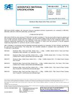 SAE AMSQQA250/5B SAE AMSQQA250/5B pdf