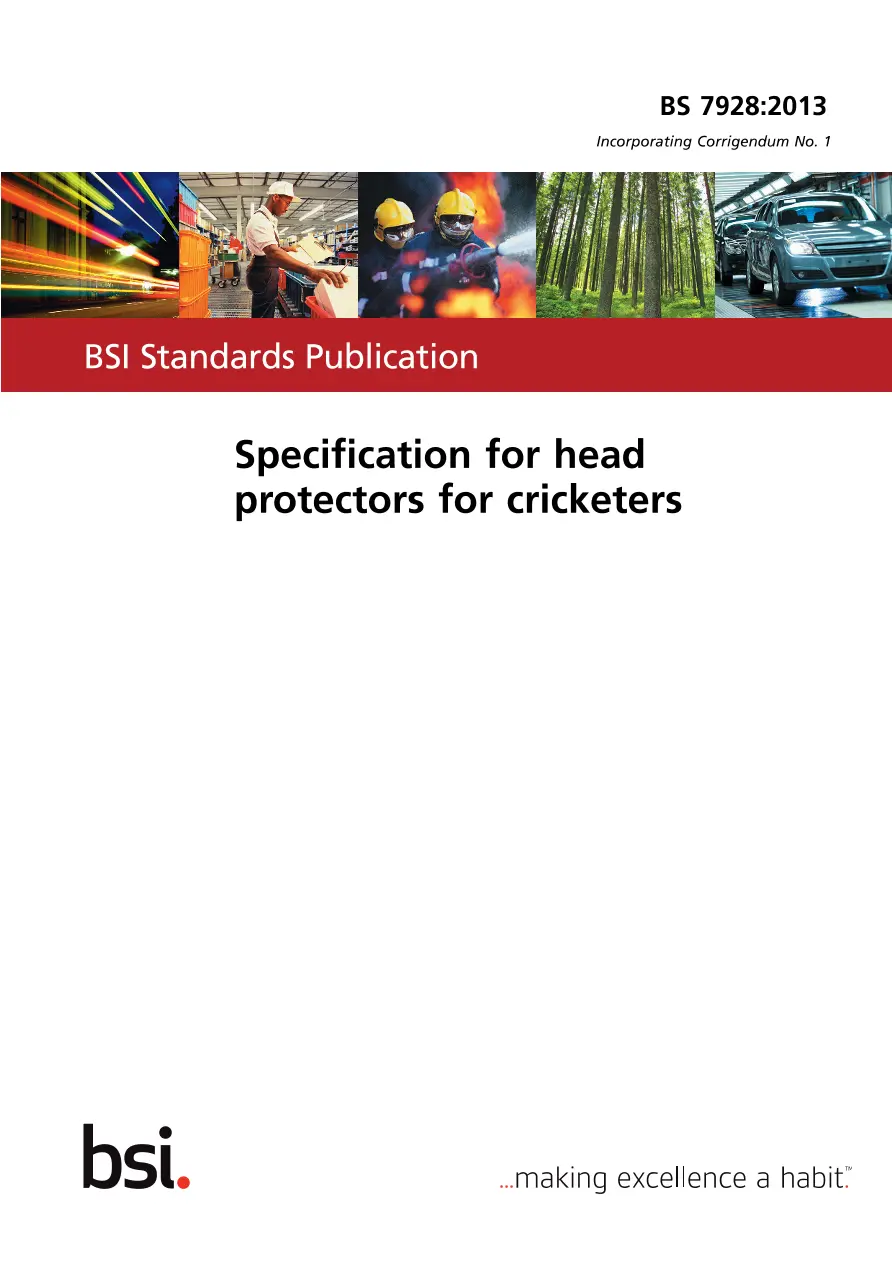 BS 7928:2013 pdf