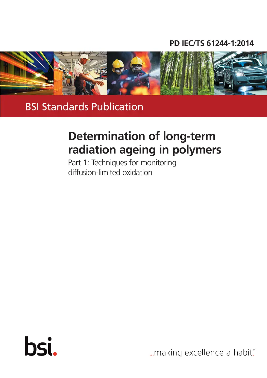 BS PD IEC/TS 61244-1:2014 pdf