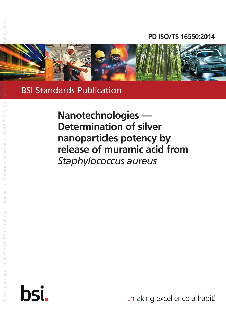 BS PD ISO/TS 16550:2014 BS PD ISO/TS 16550:2014 pdf