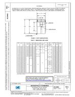 SAE AS24461C pdf