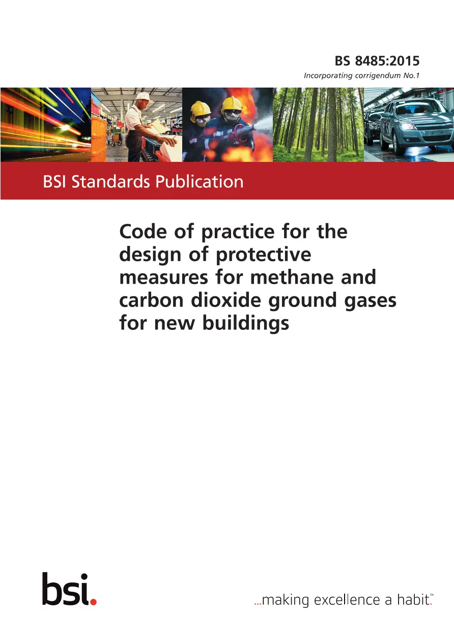 BS 8485:2015 pdf