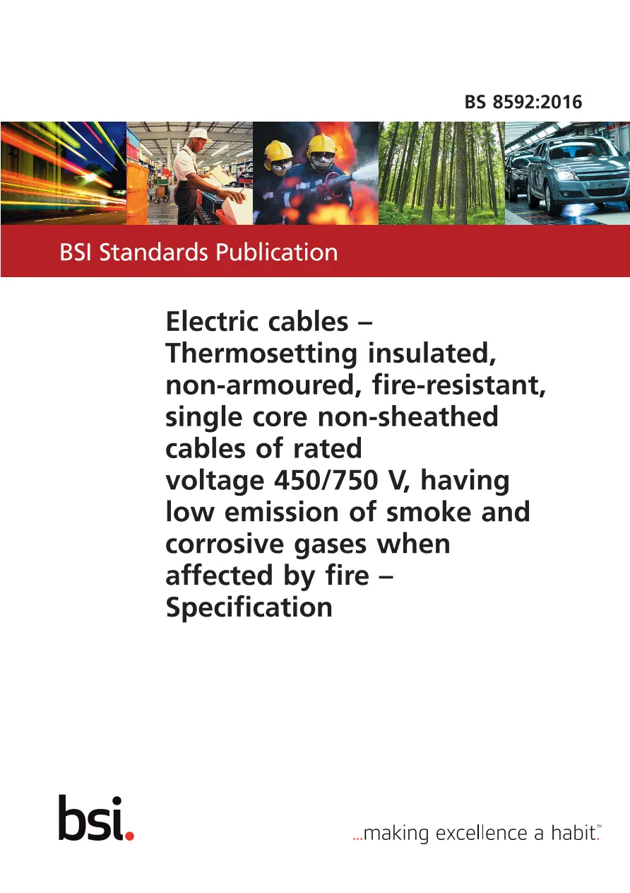 BS 8592:2016 pdf