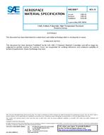 SAE AMS3800B SAE AMS3800B pdf