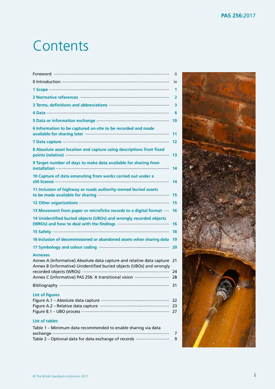 BS PAS 256:2017 pdf