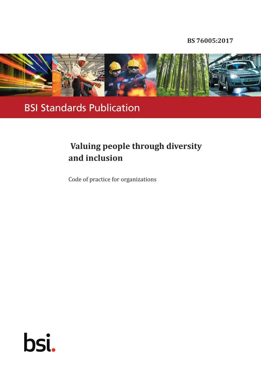 BS 76005:2017 pdf