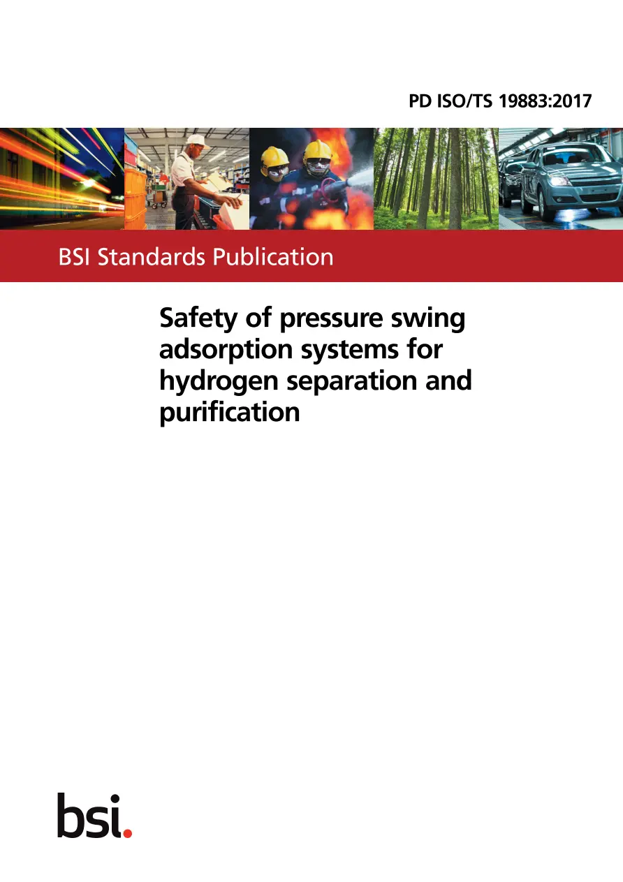 BS PD ISO/TS 19883:2017 pdf