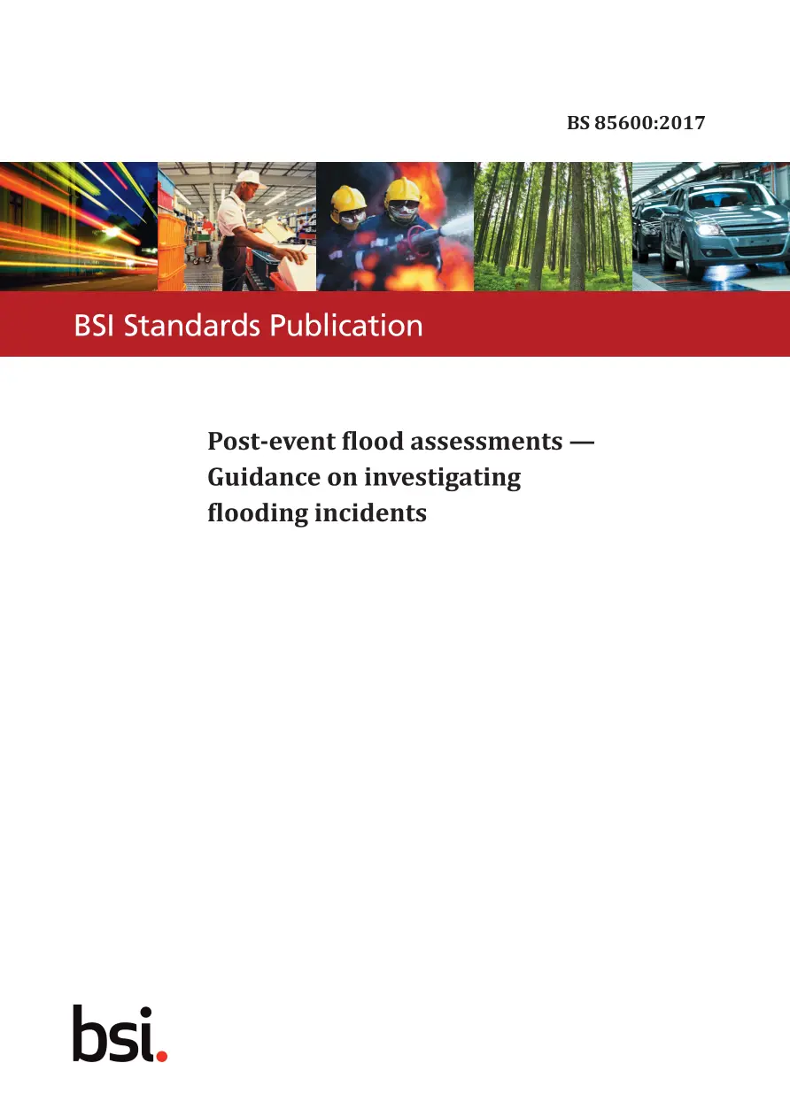 BS 85600:2017 BS 85600:2017 pdf