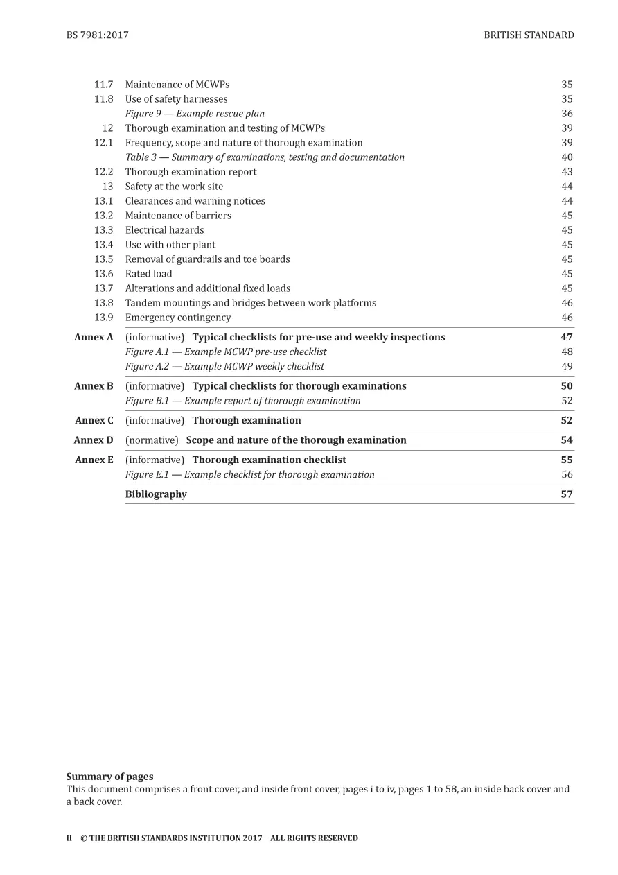 BS 7981:2017 pdf