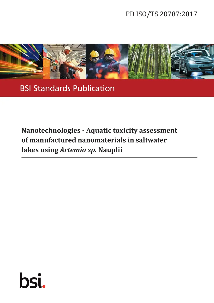 BS PD ISO/TS 20787:2017 BS PD ISO/TS 20787:2017 pdf