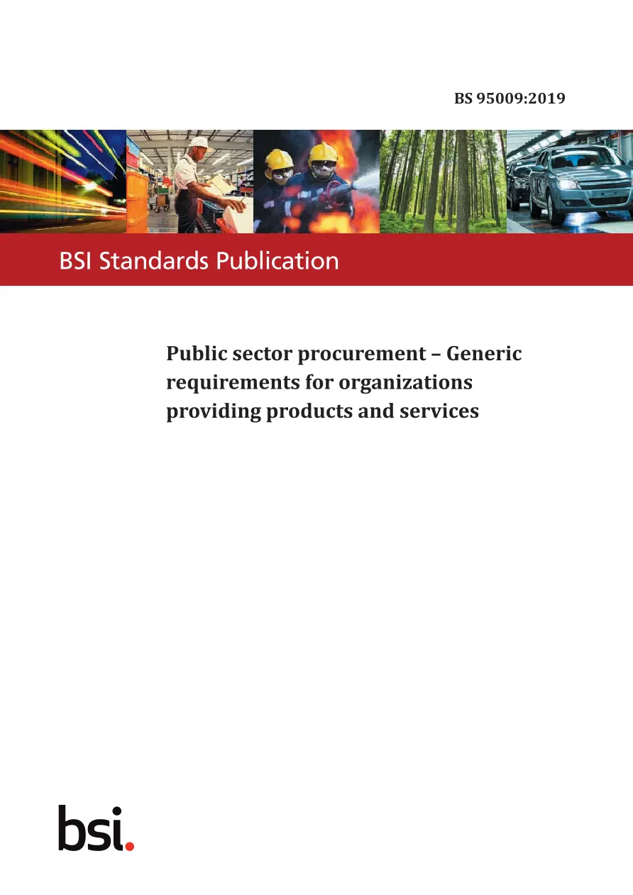 BS 95009:2019 BS 95009:2019 pdf