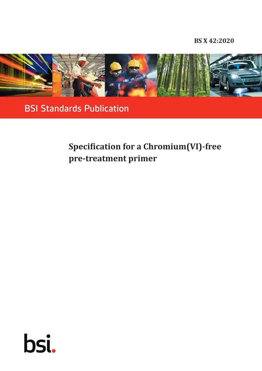 BS X 42:2020 BS X 42:2020 pdf
