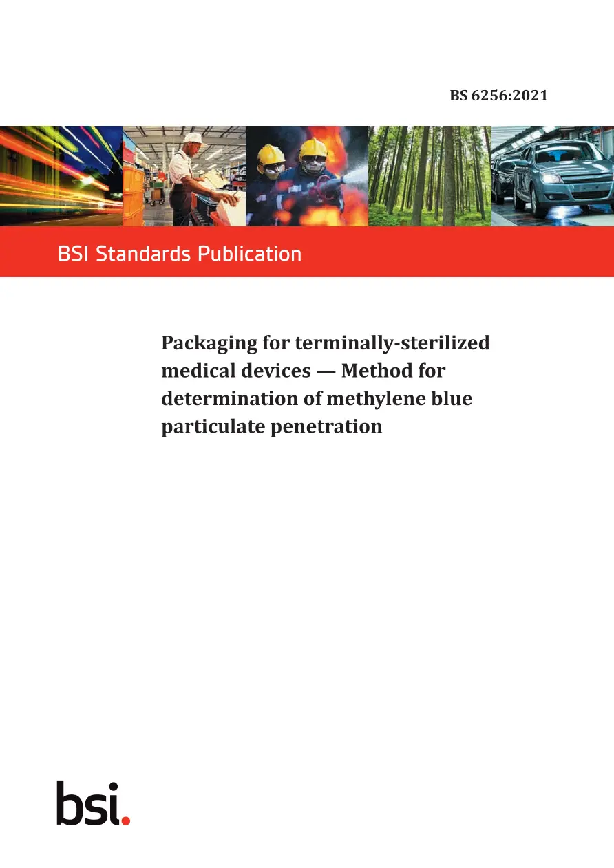 BS 6256:2021 BS 6256:2021 pdf