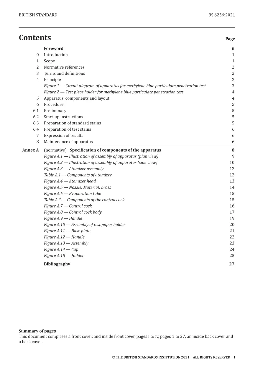 BS 6256:2021 BS 6256:2021 pdf