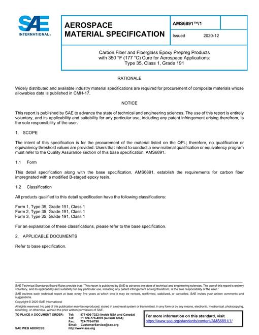 SAE AMS6891/1 pdf