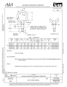 AIA NAS1251 pdf