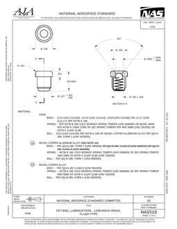 AIA NAS516 pdf