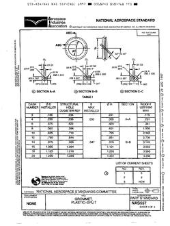 AIA NAS557 pdf