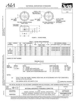 AIA NASM91528 pdf