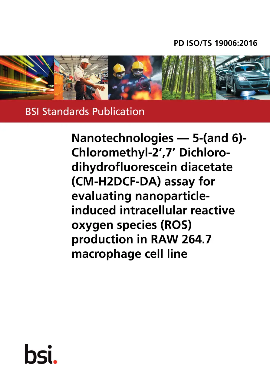 BS PD ISO/TS 19006:2016 BS PD ISO/TS 19006:2016 pdf