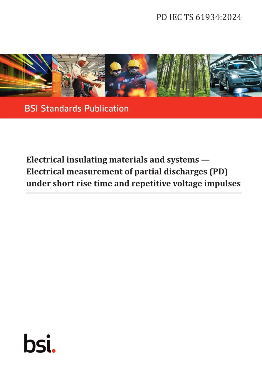 BS PD IEC TS 61934:2024 BS PD IEC TS 61934:2024 pdf