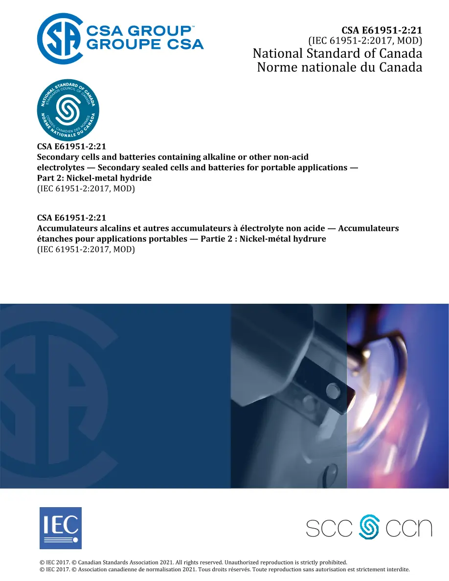CSA E61951-2:21 CSA E61951-2:21 pdf