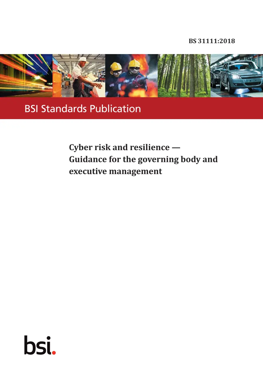 BS 31111:2018 BS 31111:2018 pdf