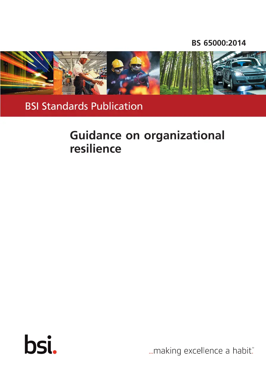 BS 65000:2014 pdf