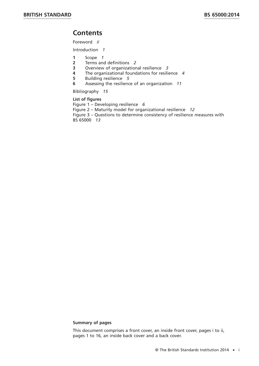 BS 65000:2014 pdf